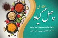 تصویر 3