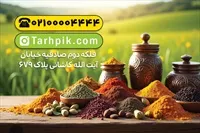 تصویر 2