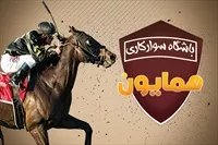 تصویر 3