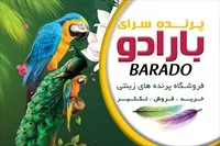 تصویر 3