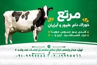 تصویر 2