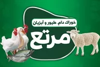 تصویر 3