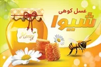 تصویر 3