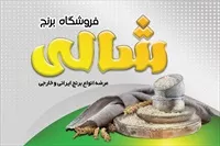 تصویر 3