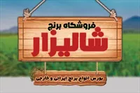 تصویر 3