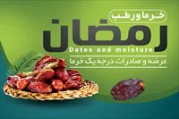 تصویر 3