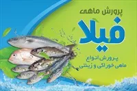 تصویر 3