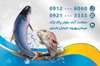 تصویر 2