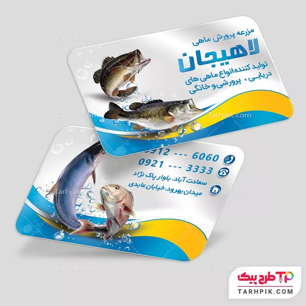فایل لایه باز PSD کارت ویزیت پرورش ماهی با قابلیت شخصی سازی