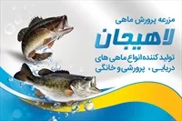تصویر 3