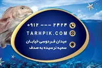 تصویر 2