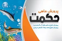 تصویر 3
