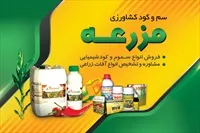 تصویر 3