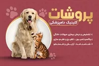 تصویر 3