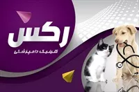 تصویر 3