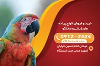 تصویر 2