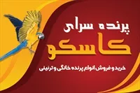تصویر 3