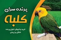 تصویر 3