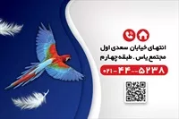 تصویر 2