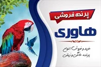 تصویر 3