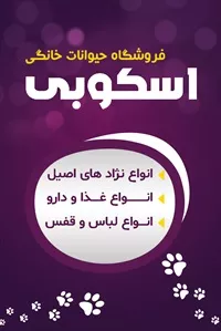 تصویر 3
