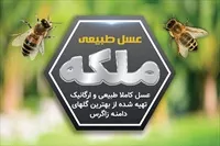 تصویر 3