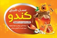 تصویر 3