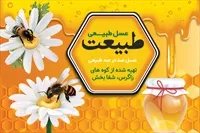 تصویر 3
