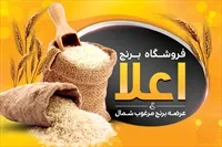 تصویر 3