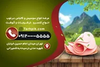 تصویر 2