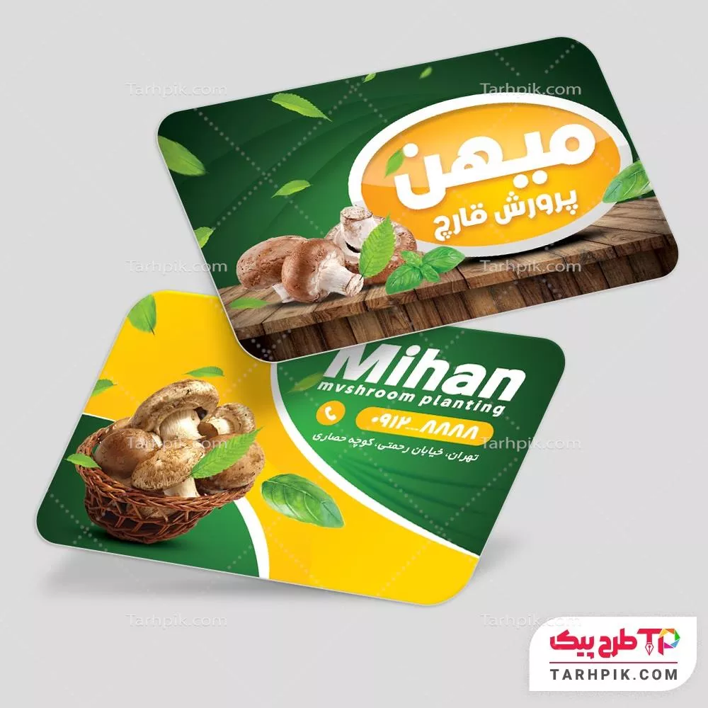 قالب آماده کارت ویزیت پرورش قارچ به صورت لایه باز