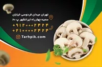 تصویر 2