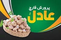 تصویر 3
