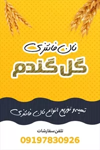 تصویر 3