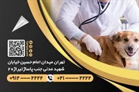تصویر 2
