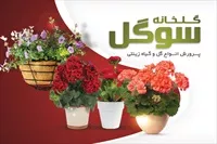 تصویر 3