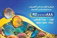 تصویر 2