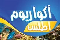 تصویر 3