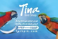 تصویر 2