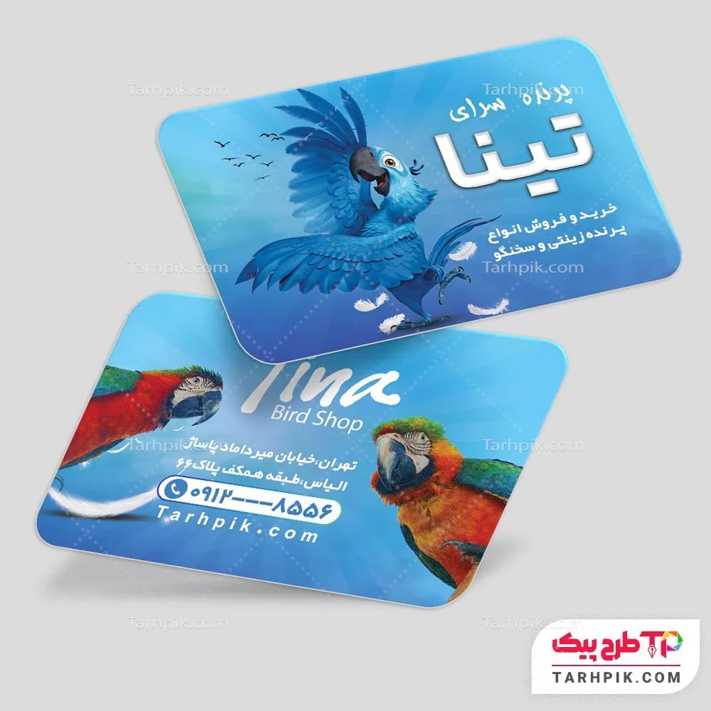 کارت ویزیت خلاقانه پرنده سرا با قابلیت ویرایش المان ها
