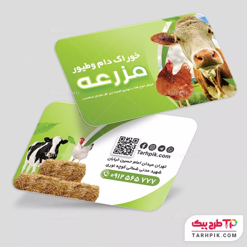 کارت ویزیت طرح 2025 خوراک دام، طیور و حیوانات آماده چاپ