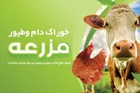 تصویر 3