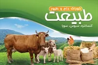 تصویر 3
