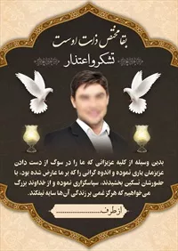 تصویر 2