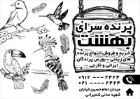 تصویر 2