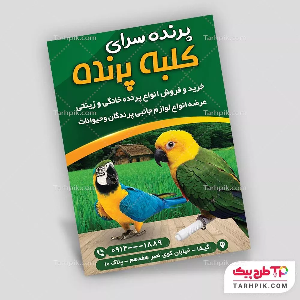 تراکت اختصاصی پرنده فروشی با قابلیت شخصی سازی