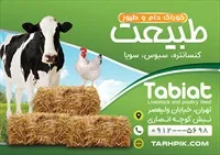 تصویر 2