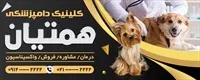 تصویر 2