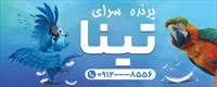 تصویر 2