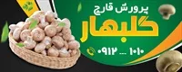 تصویر 2
